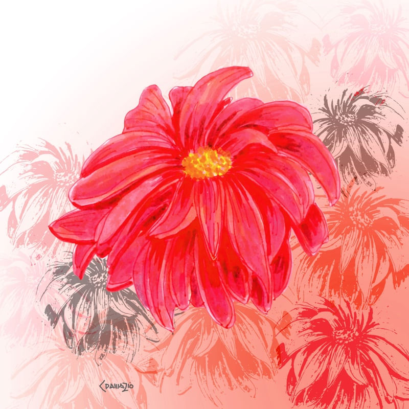 CRISÂNTEMO FLOR