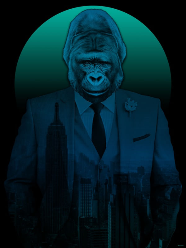 KING OF NY