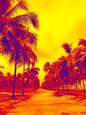 ROAD OF EXPLOSION