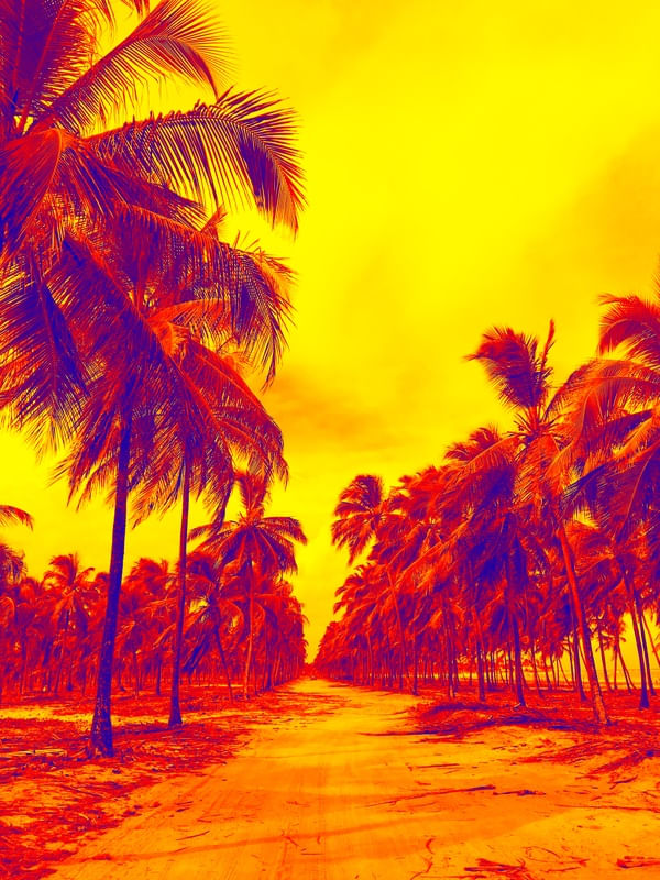 ROAD OF EXPLOSION