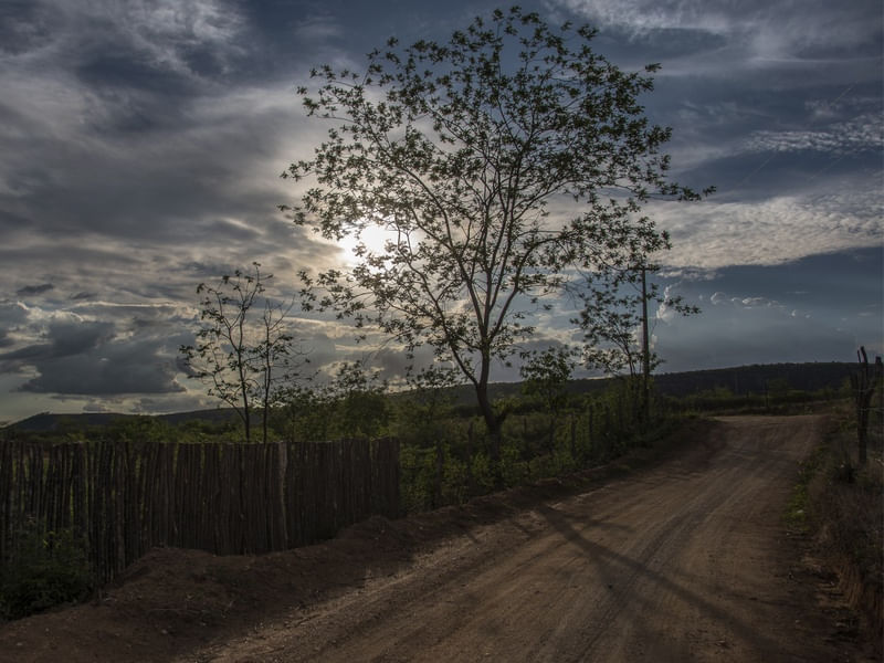 CAMINHOS DO SERTÃO DE ASSARÉ