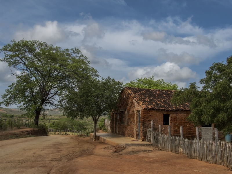 CASAS DO SERTÃO DE ASSARÉ