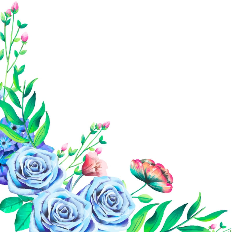 BLUE ROSES