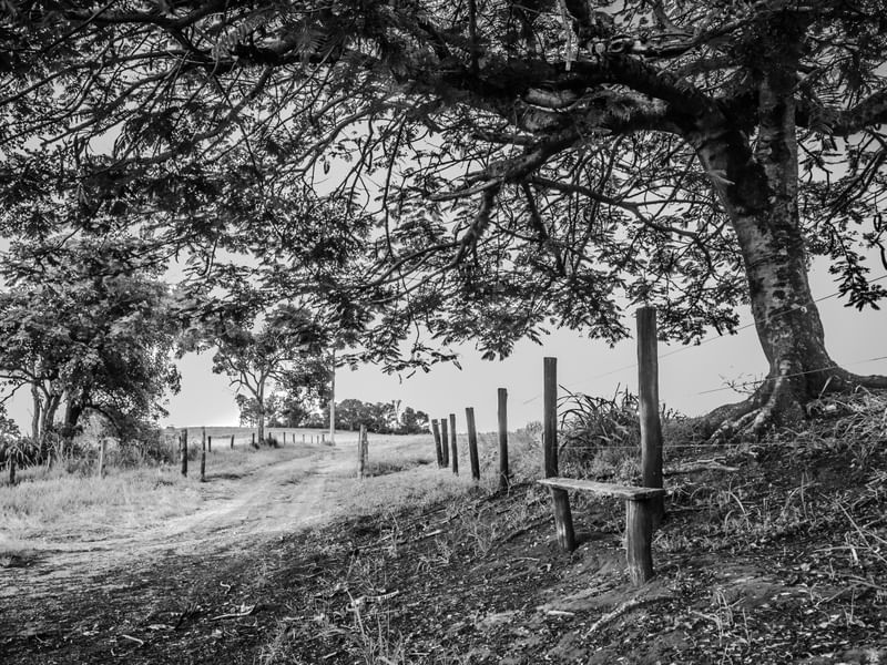 BANCO A BEIRA DA ESTRADA P&B