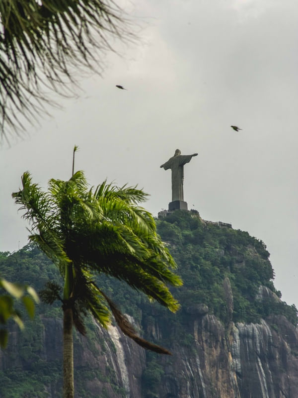 CRISTO NO JARDIM BOTÂNICO