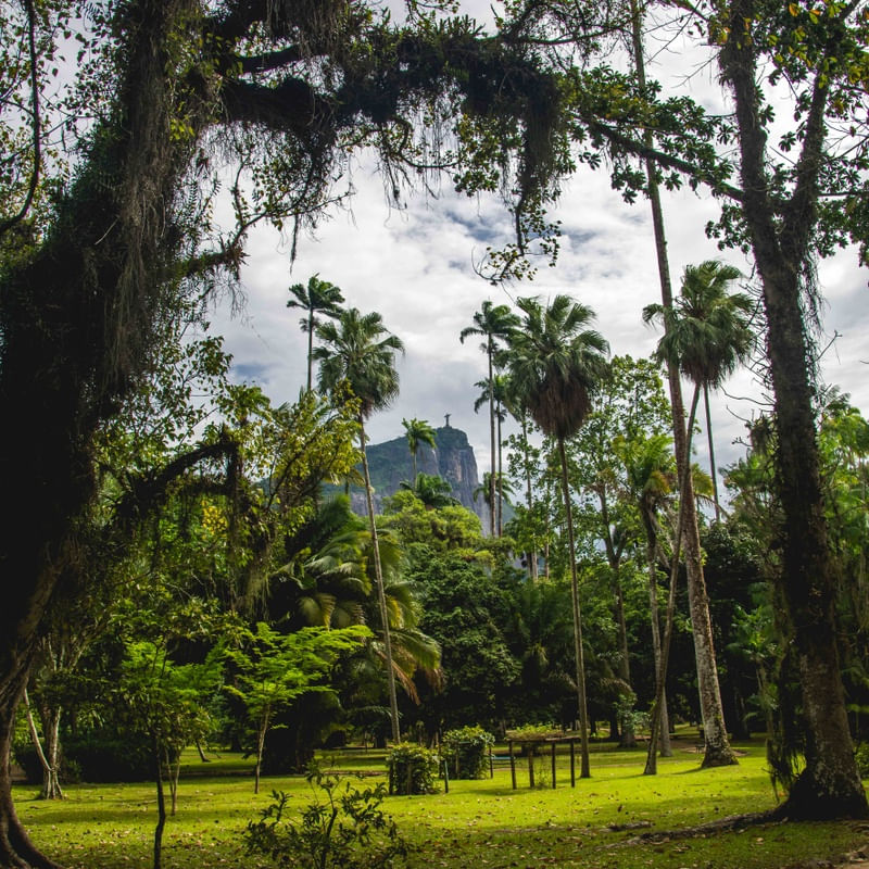 JARDIM BOTÂNICO COM CRISTO REDENTOR