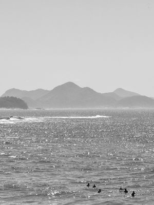 SURFISTAS NA ILHA