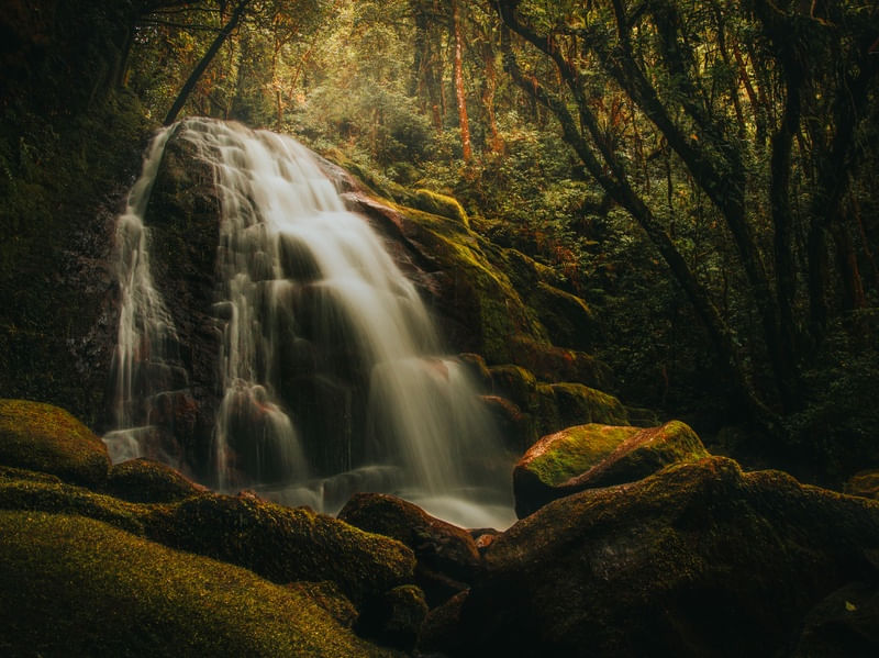 CACHOEIRA DO PROFESSOR
