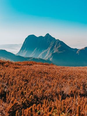 PICO PARANÁ VISTO DO TUCUM