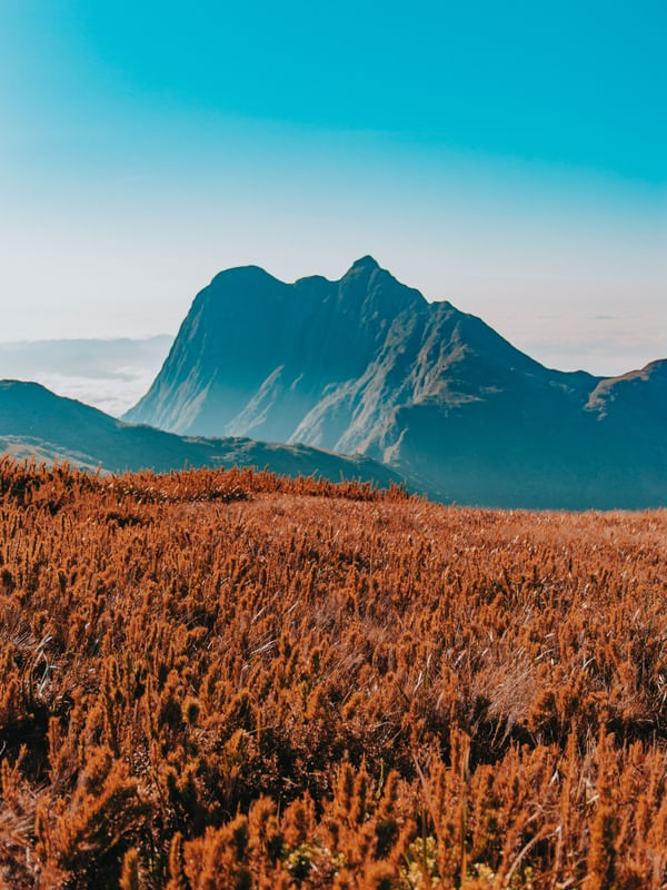 PICO PARANÁ VISTO DO TUCUM