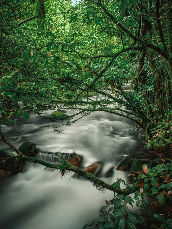 RIO DO EKÔA PARK