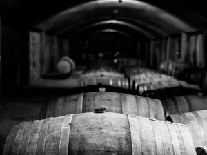VINHO NO BARRIL