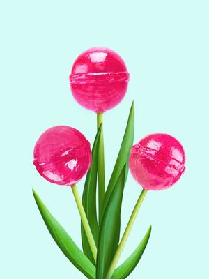 LOLLIPOP TULIP