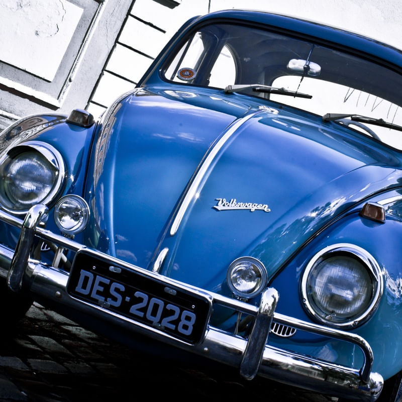 BLAU FUSCA