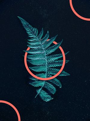 CIRCLE LEAF