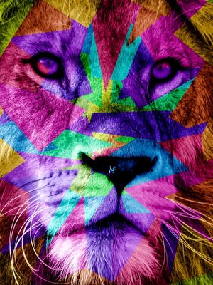 O REI EM CORES - LP