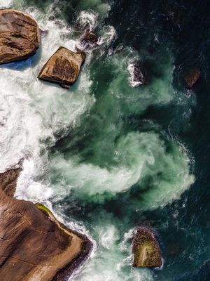 THE DYNAMICS OF WATER