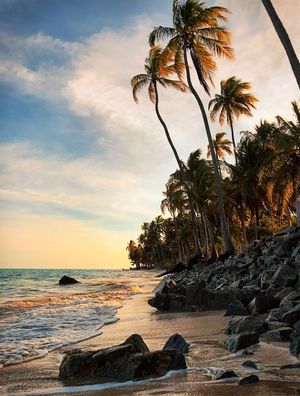 PONTAL DO MANGUE