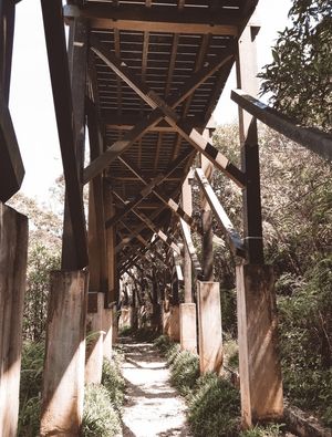 SOB A PONTE 01