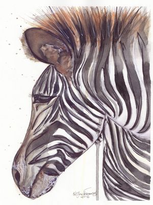 ZEBRA DA SORTE