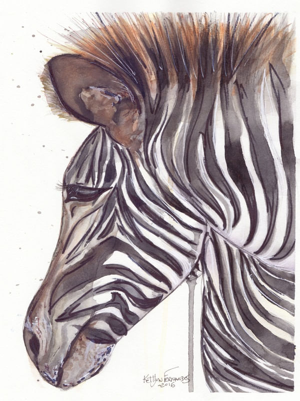 ZEBRA DA SORTE