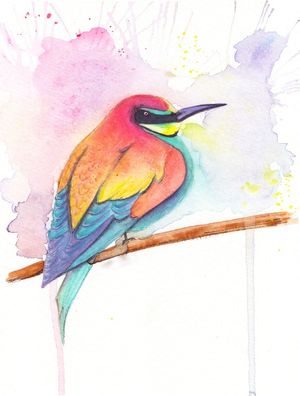 PASSARINHO PURA COR