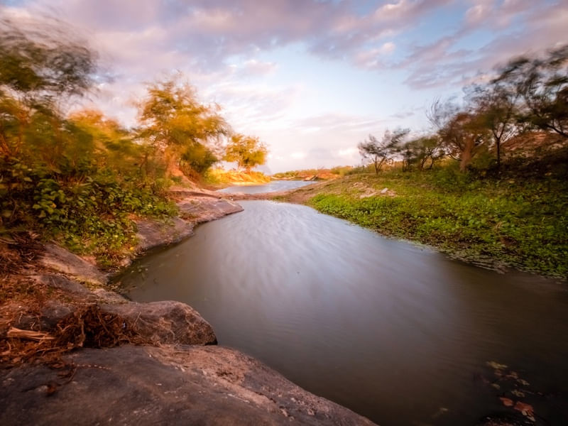 RIO CURIMATAÚ EM PEDRO VELHO