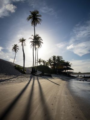 SOMBRAS EM GENIPABU