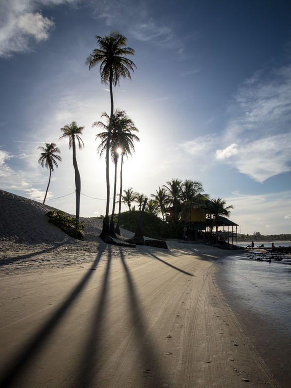 SOMBRAS EM GENIPABU