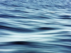 SEA STROKES II