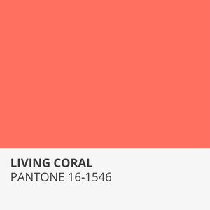 LIVING CORAL