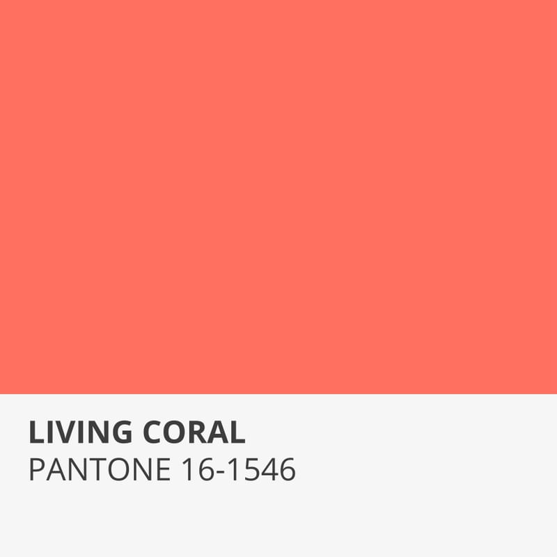 LIVING CORAL