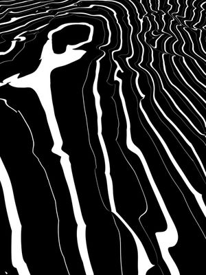DISTORTED LINES 1