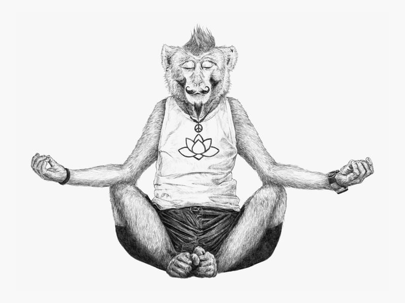 MONKEY YOGA