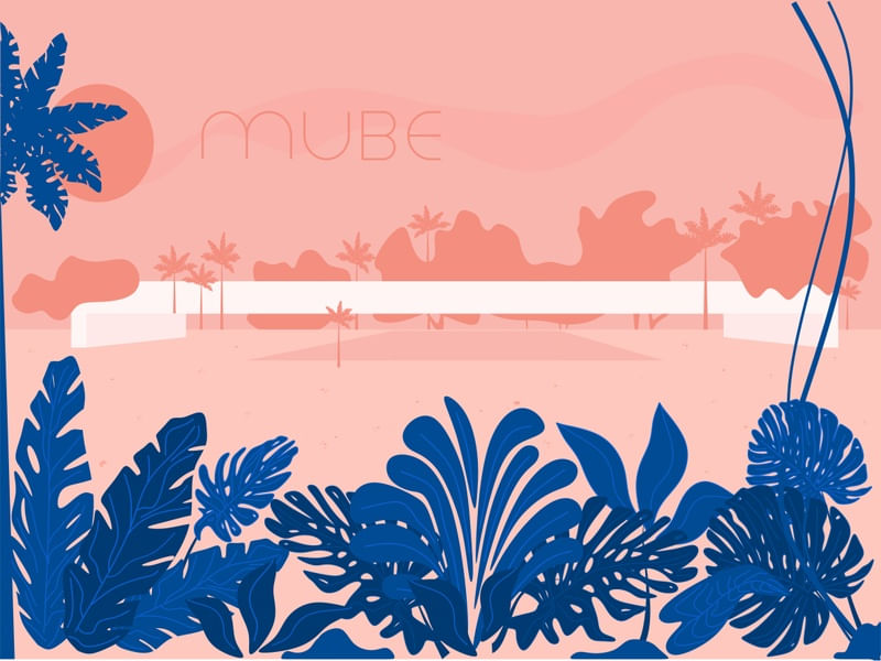MUBE EM CORES