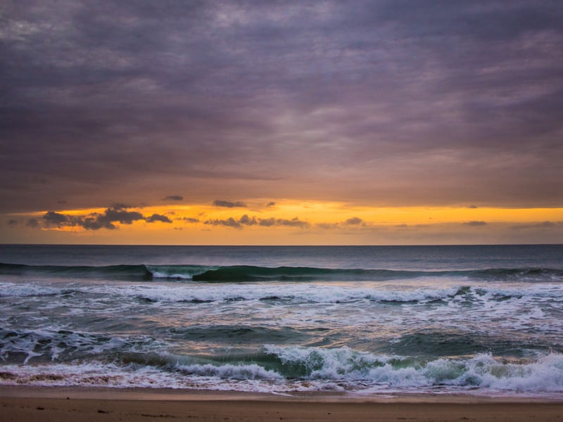 WAVE YELLOW