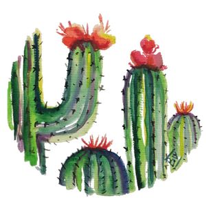 CACTOS