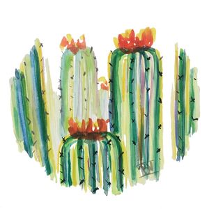 CACTOS (2)