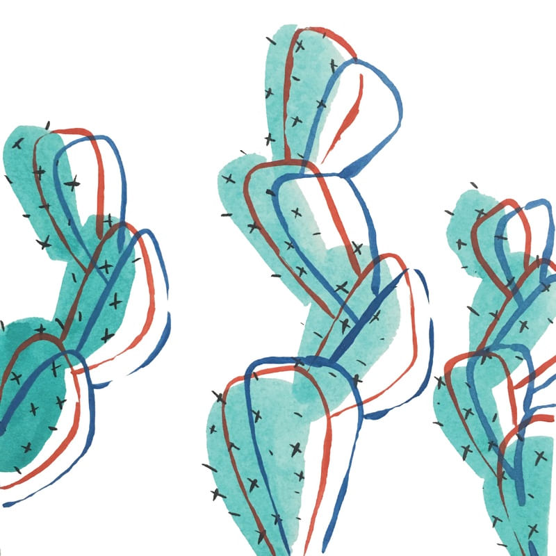 CACTOS 3D