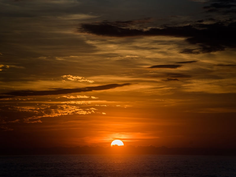 MAGNÍFICO SOL