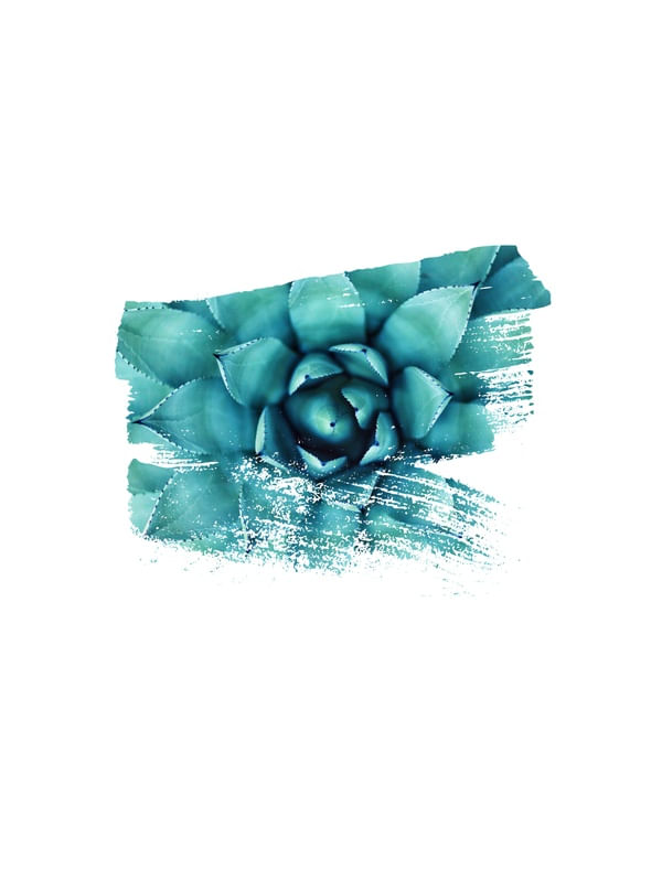 SUCCULENT BRUSH STROKE