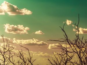NATUREZA SURREAL_3