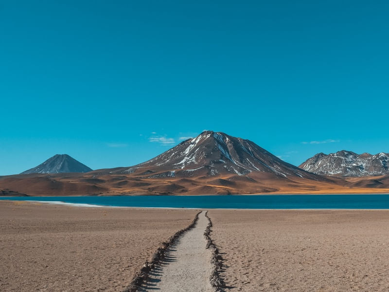 CAMINITO MISCANTI