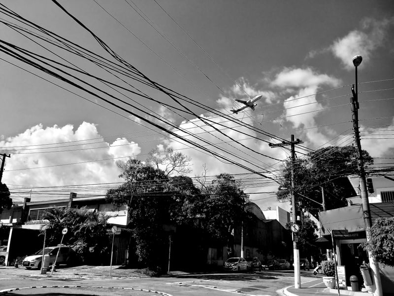 FLYING OVER THE WIRE