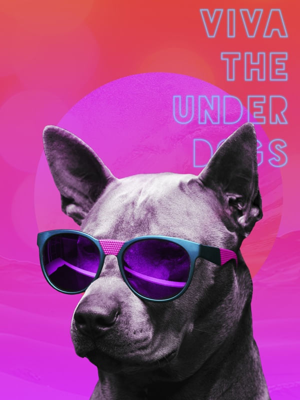 VIVA THE UNDERDOGS
