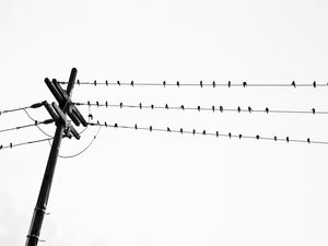 ELETROWINGS