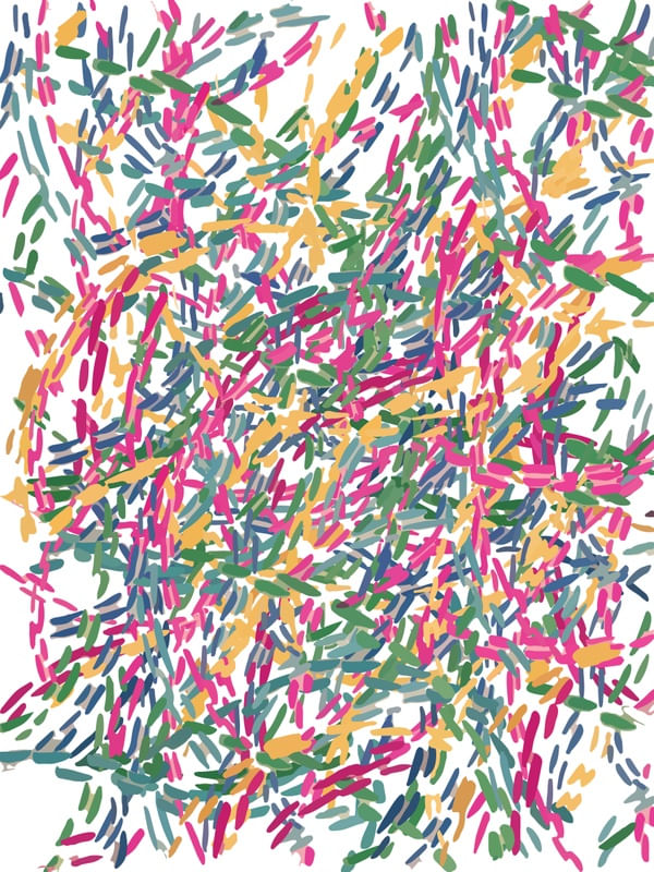 CAMINHO DE CORES