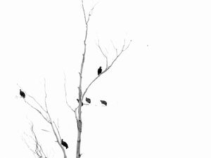 VULTURES