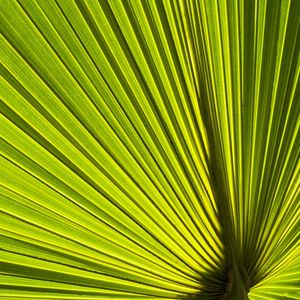 FOLHA COM LINHAS DIAGONAIS - 4