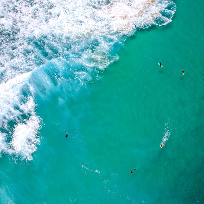 SURFING DAY II ( QUADRADA )